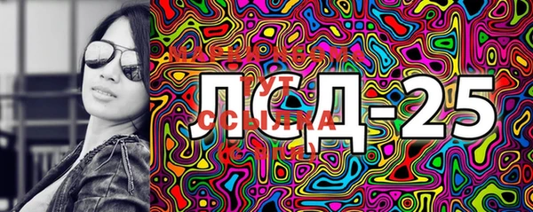 PSILOCYBIN Навашино
