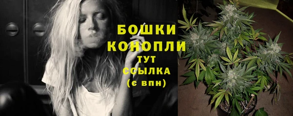 амф Михайловск