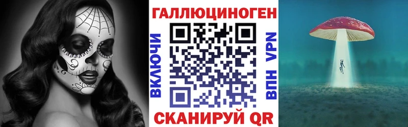 Галлюциногенные грибы Psilocybine cubensis  Новосокольники 