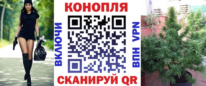 Бошки марихуана Amnesia  Новосокольники 